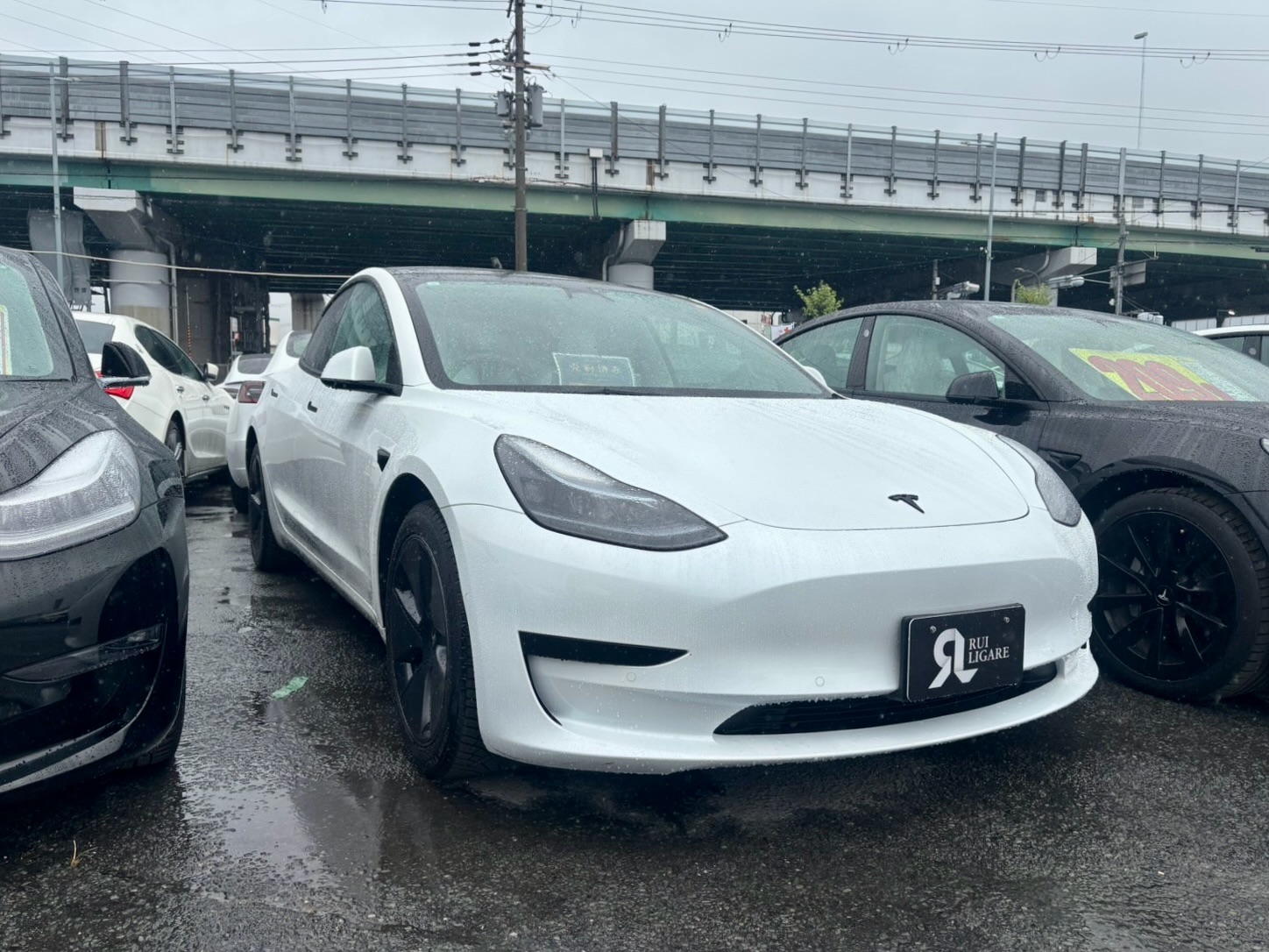 【ご成約事例】N様にテスラ モデル3をご成約いただきました｜大阪・摂津市